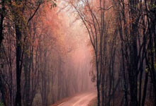 开云体育app-勇士鏖战步行者，克莱惊艳世界