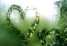 开云体育平台APP-希腊男篮鏖战勇士B队，凯尔·库兹马高光表现