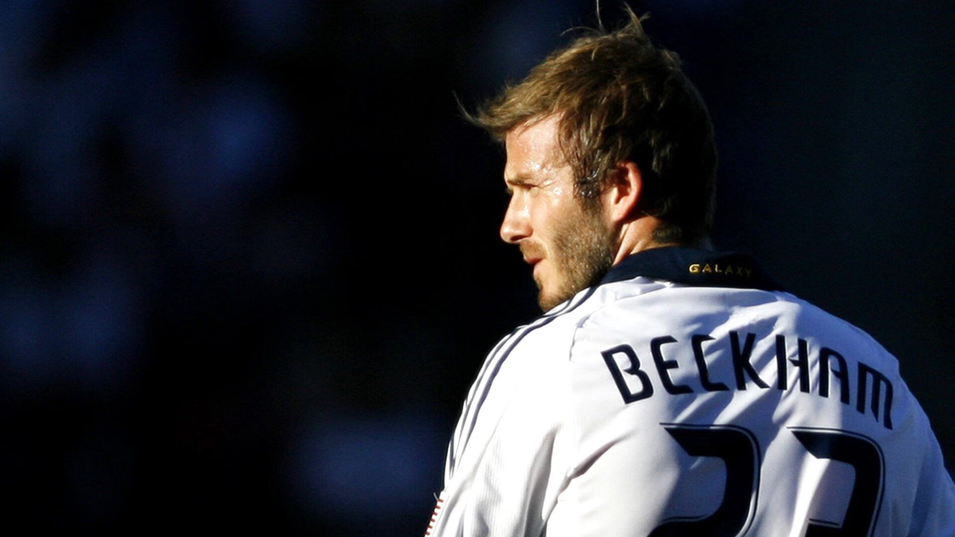 里昂铁血防线冻结秘鲁，帕尔默临危受命成关键先生