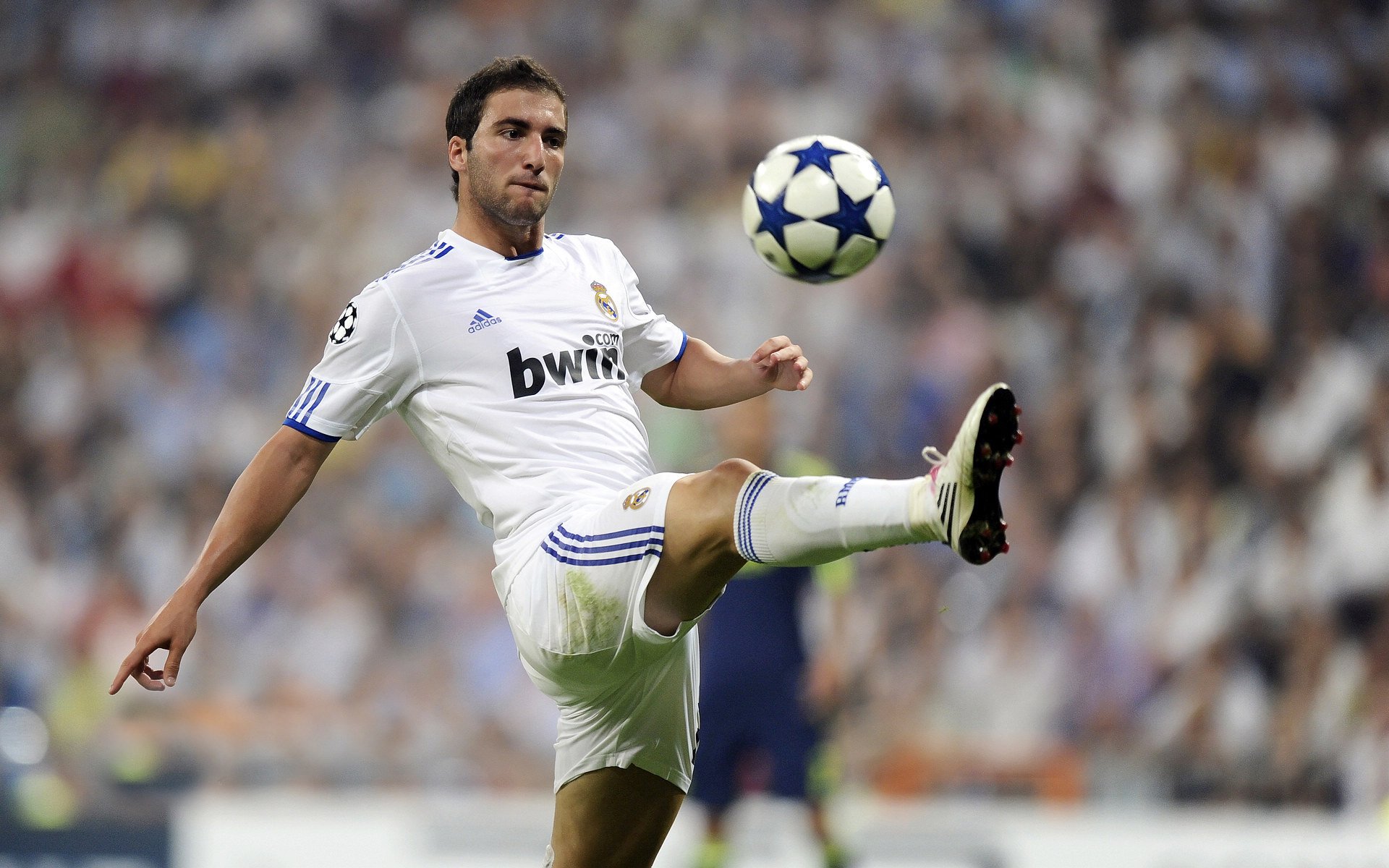 努涅斯惊艳四座！几内亚硬仗取胜克罗地亚，非洲雄狮的逆袭之路